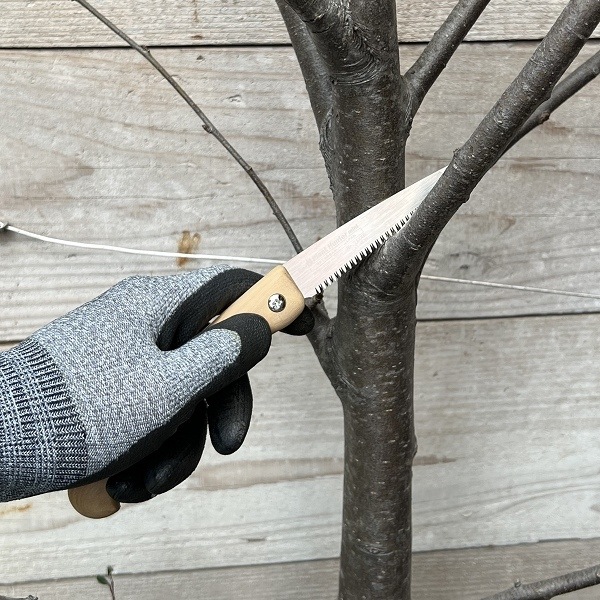 ��������������֡����졼