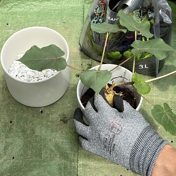 ��������������֡����졼