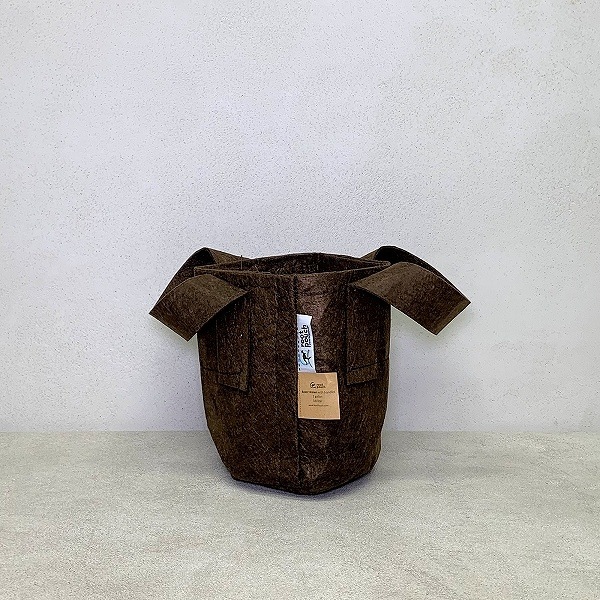 �롼�ĥݡ�����3.8L �ʥ֥饦���