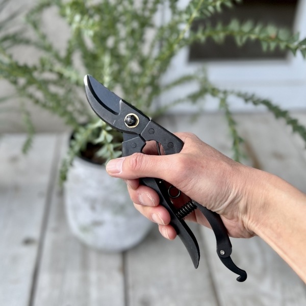 ������ KUROCO ���å����Х��� 200mm