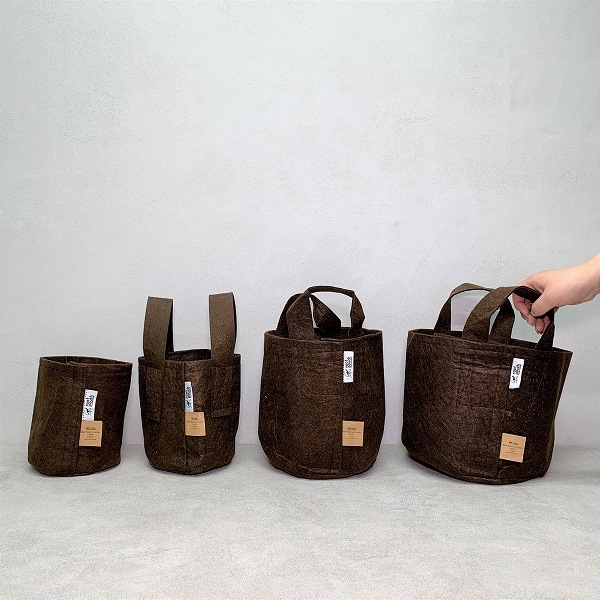 �롼�ĥݡ�����12L �ʥ֥饦���