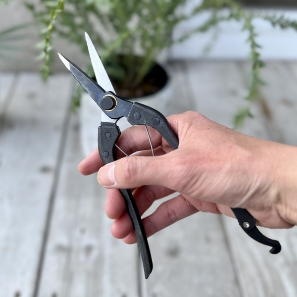 ���������ҿ� KUROCO 200mm