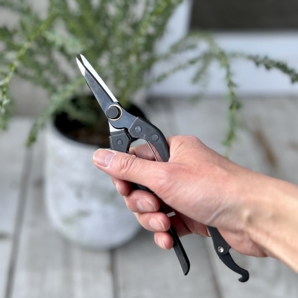 ���������ҿ� KUROCO 200mm