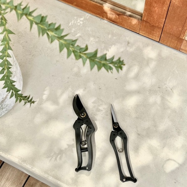 ���������ҿ� KUROCO 200mm