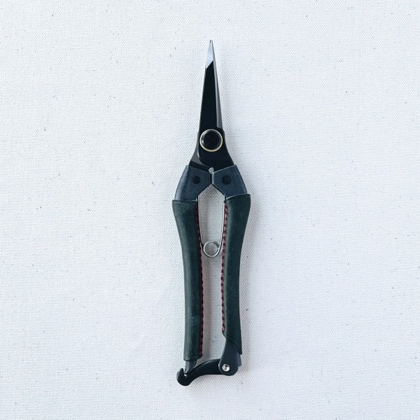 ���������ҿ� �״��� ���꡼�� KUROCO 200mm