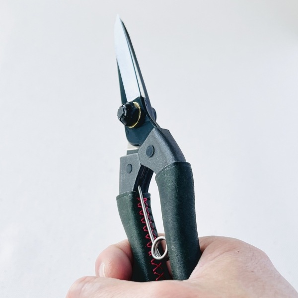 ���������ҿ� �״��� ���꡼�� KUROCO 200mm