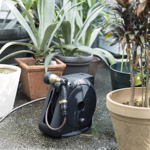 ����ѥ��ȥ����ǥ�꡼�뭶20m �֥�å����֥饦��ۡ���