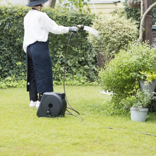 ����ѥ��ȥ����ǥ�꡼�뭶20m �֥�å����֥饦��ۡ���