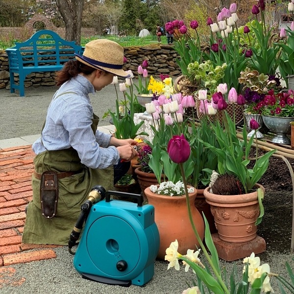 ����ѥ��ȥ����ǥ�꡼�뭶��20m �쥤���֥롼