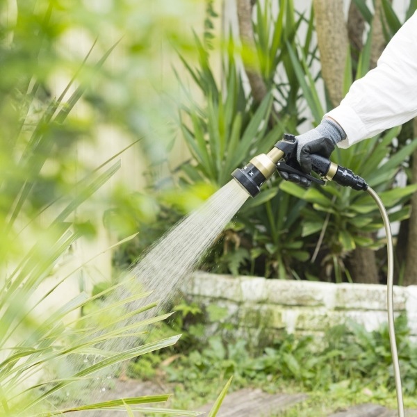 ѥȥǥ꡼뭶10m ֥饦󡡥ɥۡ