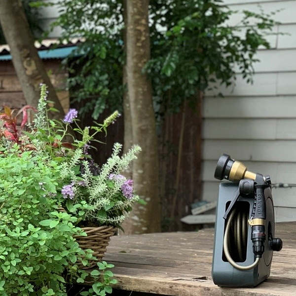 ����ѥ��ȥ����ǥ�꡼�뭶10m ���꡼�󡡥�����ɥۡ���