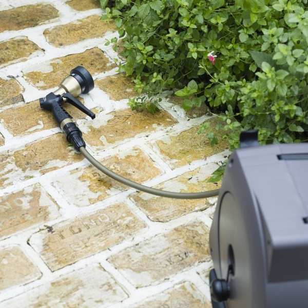 ����ѥ��ȥ����ǥ�꡼�뭶30m �֥饦�󡡥�����ɥۡ���