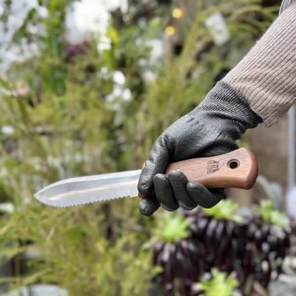 �����ǥ˥󥰥ʥ��աʻ��ڷ�����ܳץ�������