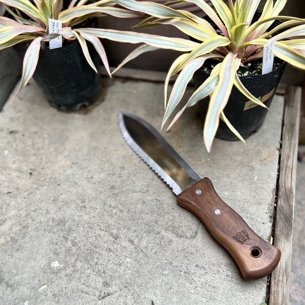 �����ǥ˥󥰥ʥ��աʻ��ڷ�����ܳץ�������