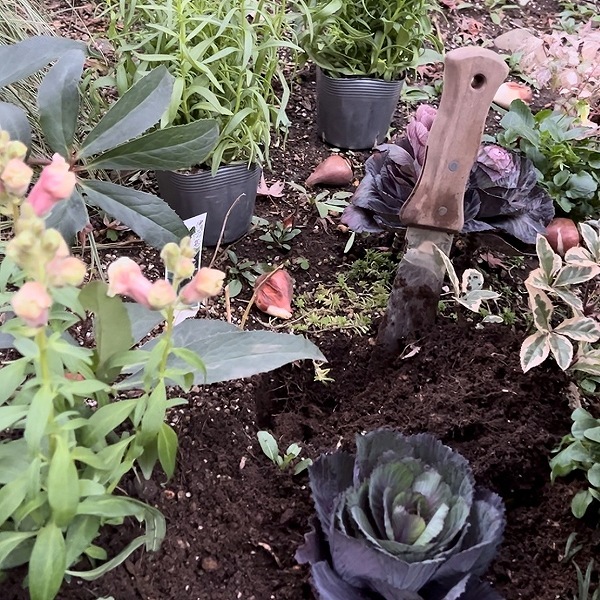 �����ǥ˥󥰥ʥ��աʻ��ڷ�����ܳץ�������