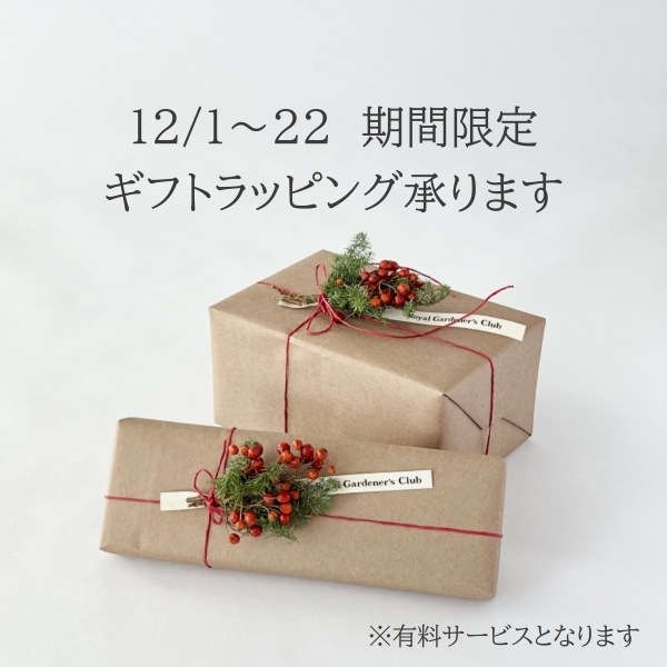 �����ɥץ�󥿡��������� �ʻ������