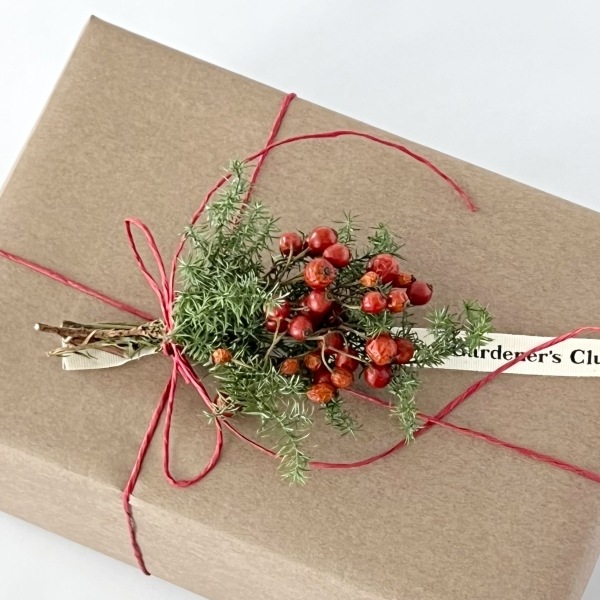 �����ɥץ�󥿡��������� �ʻ������