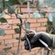 ��������եȡ����ƥ�쥹��ǽ�������ʥ��եȥ�åԥ��ʡ�