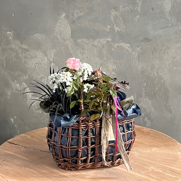 ����� La terre�δ󤻥���