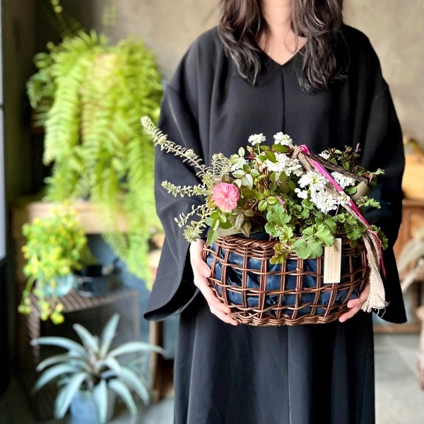 ����� La terre�δ󤻥���