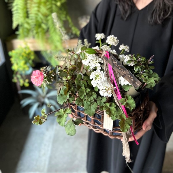 ����� La terre�δ󤻥���