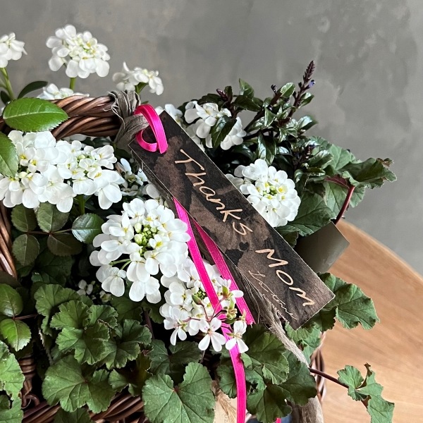 ����� La terre�δ󤻥���