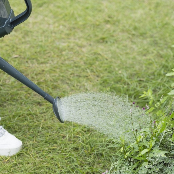 �����ǥ󥸥硼�����꡼�� 4L