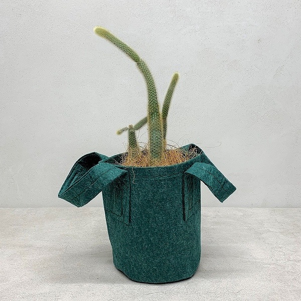 �롼�ĥݡ�����3.8L �ʥե��쥹�ȡ�