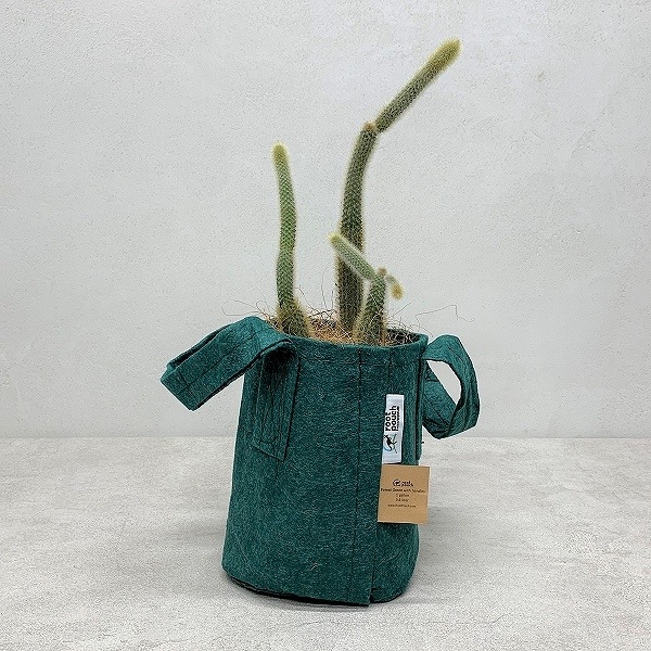 �롼�ĥݡ�����3.8L �ʥե��쥹�ȡ�