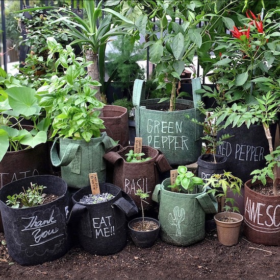 �롼�ĥݡ�����3.8L �ʥե��쥹�ȡ�