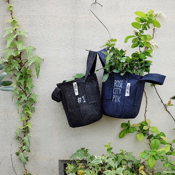 �롼�ĥݡ�����8L �ʥե��쥹�ȡ�