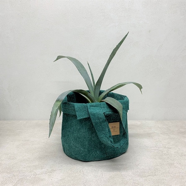 �롼�ĥݡ�����8L �ʥե��쥹�ȡ�