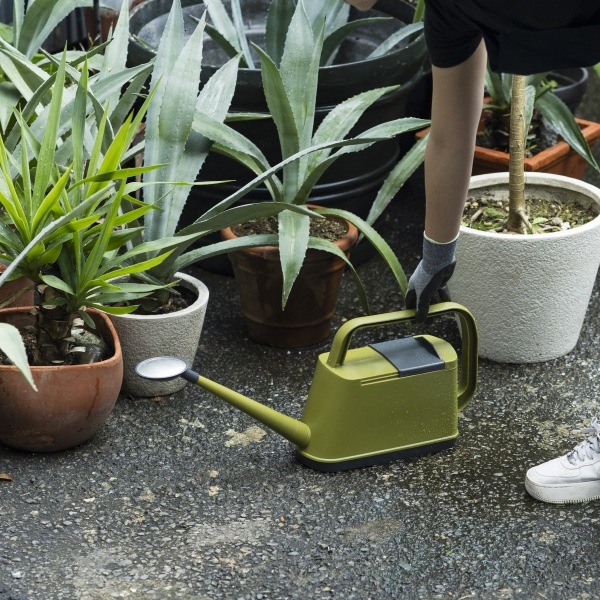 �����ǥ󥸥硼���ƥ������꡼�� 4L