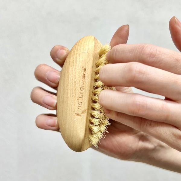 �ͥ���֥饷���ǥ奢��ʥ���ԥ���