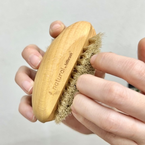 �ͥ���֥饷���ǥ奢������ӡ�