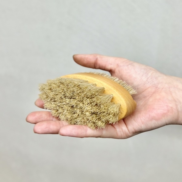 �ͥ���֥饷���ǥ奢������ӡ�