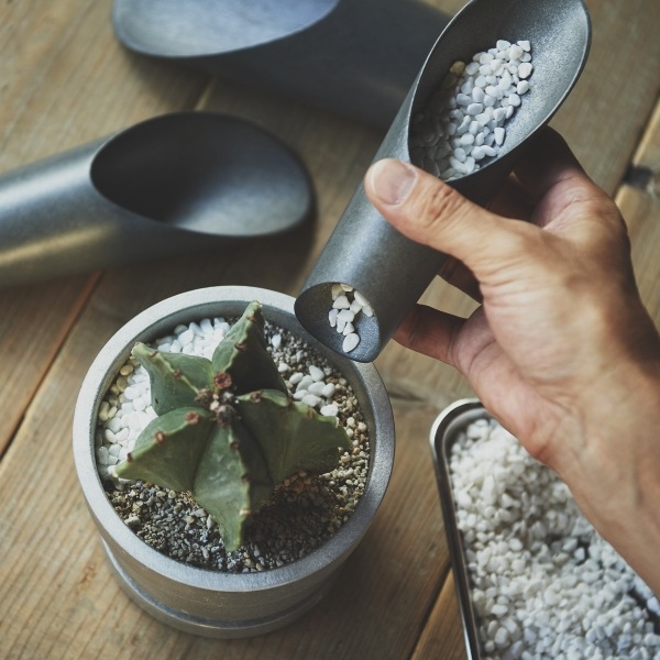 �����åסʥ������������Х졼�ʡ�S