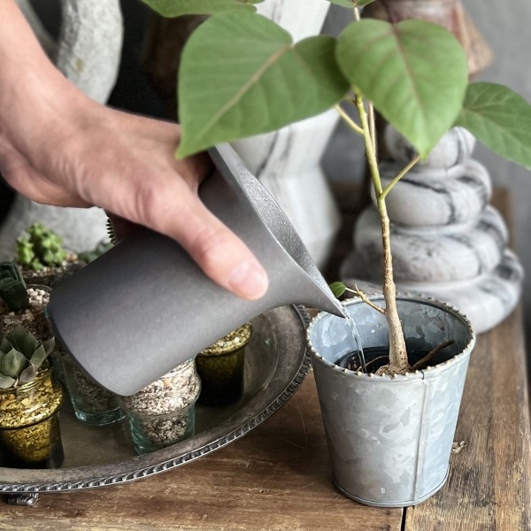 �庹����JUG