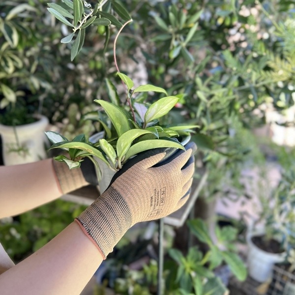 ��������������֡�������