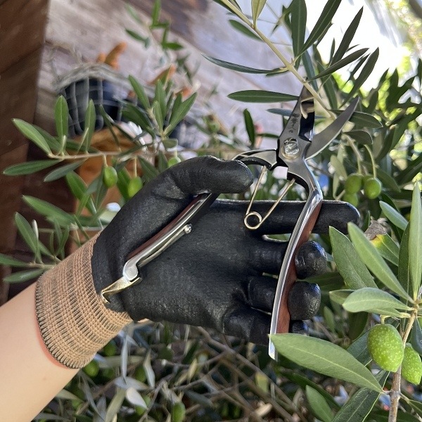 ��������������֡�������