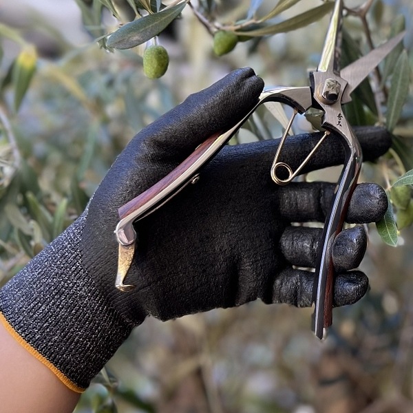 ��������������֡����㥳����