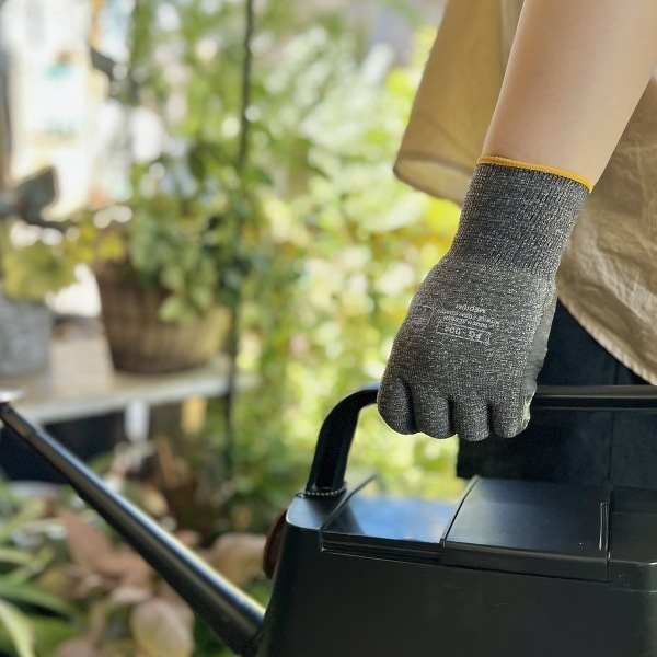 ��������������֡����㥳����