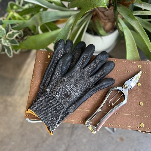 ��������������֡����㥳����