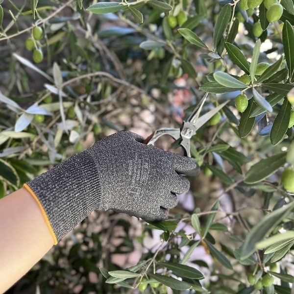 ��������������֡����㥳����