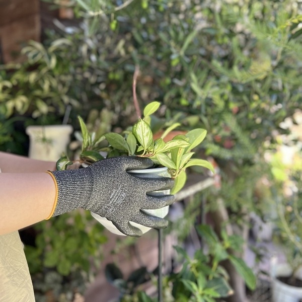 ��������������֡����㥳����