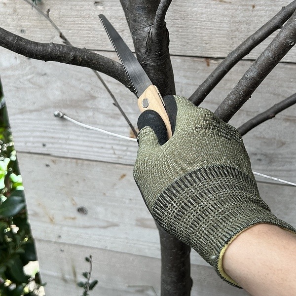 ��������������֡����꡼��