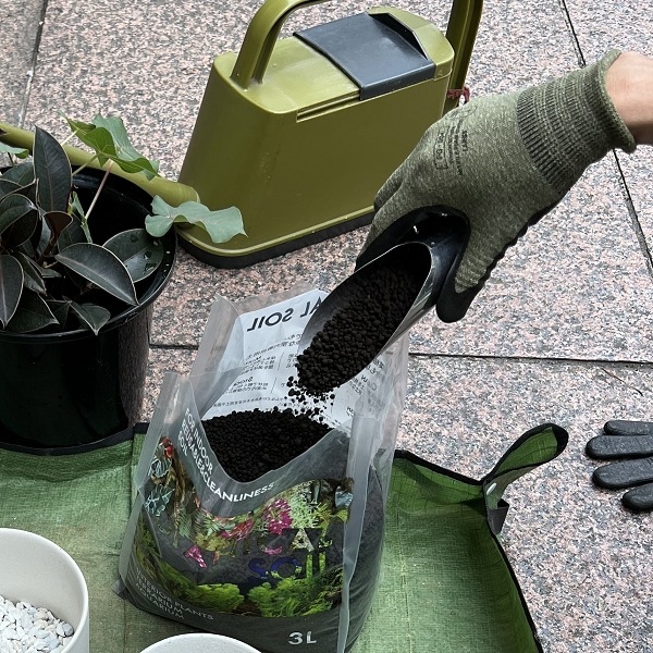 ��������������֡����꡼��