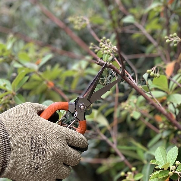 ��������������֡����꡼��