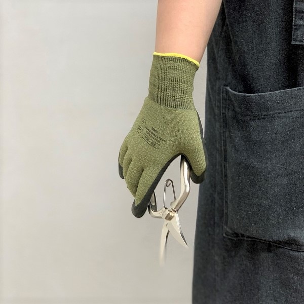 ��������������֡����꡼��