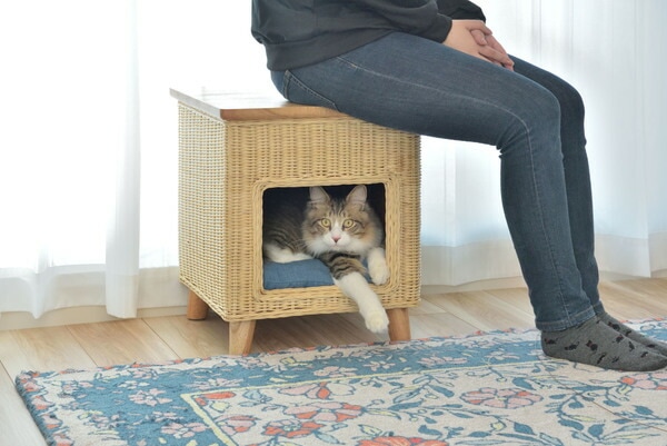 AZUMAYA ペットハウススツール PET-63 完成品 W40×D40×H45  送料無料